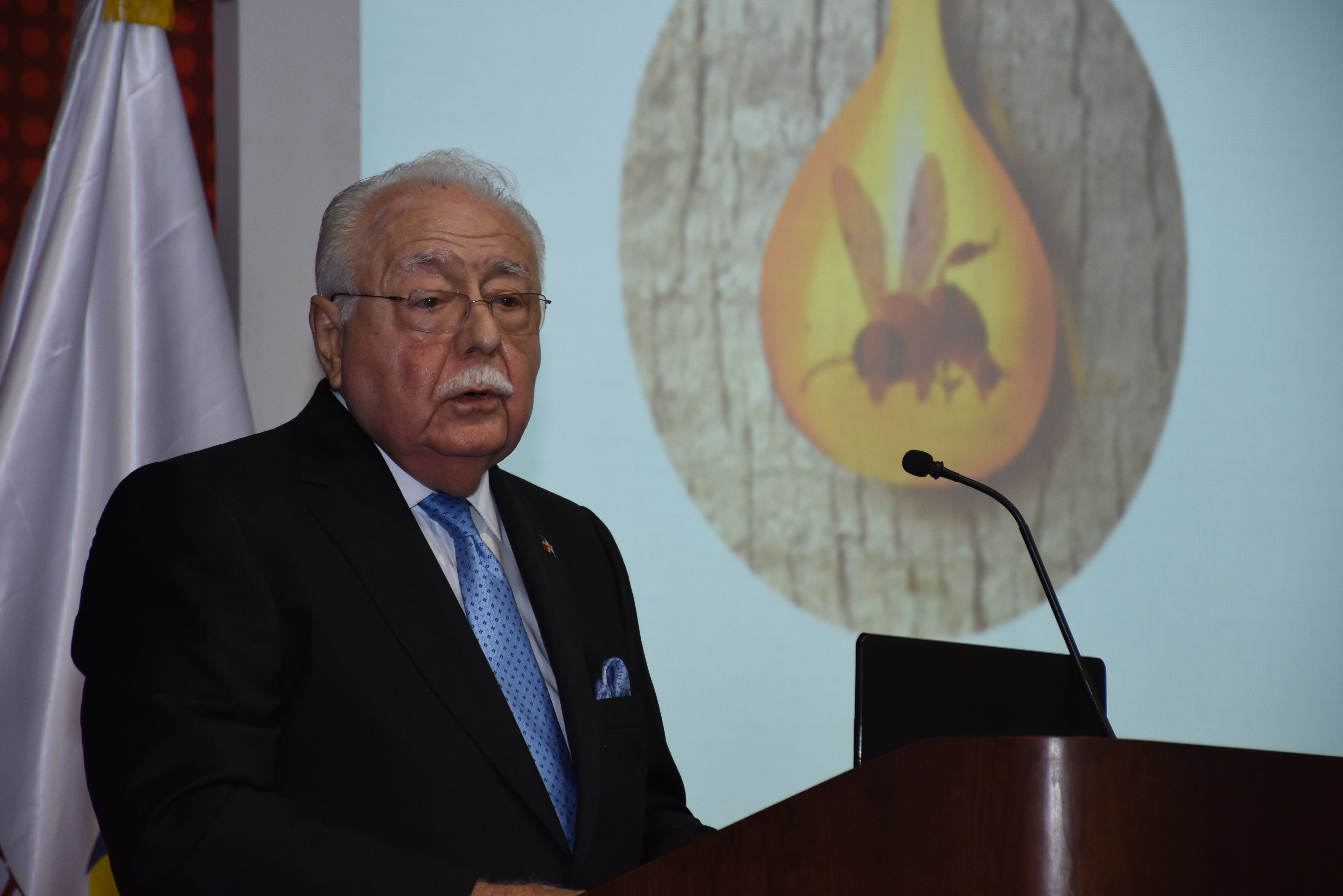 Ministro de Energía y Minas resalta ante comunidad científica esfuerzos del gobierno para promover el ámbar