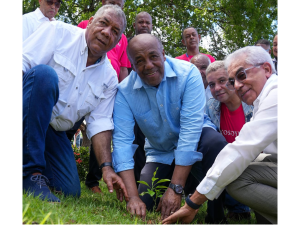 Energía y Minas realiza siembra de árboles para celebrar Día Mundial del Medio Ambiente