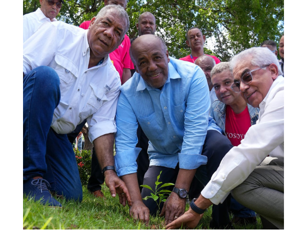 Energía y Minas realiza siembra de árboles para celebrar Día Mundial del Medio Ambiente