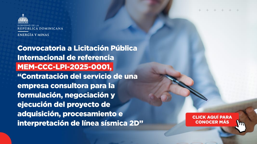 Licitación pública Internacional