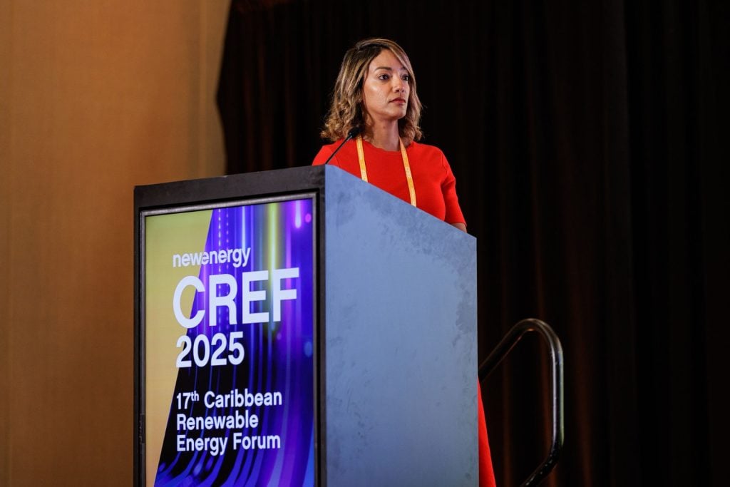 La viceministra Betty Soto representó a la República Dominicana en el CREF 2025.