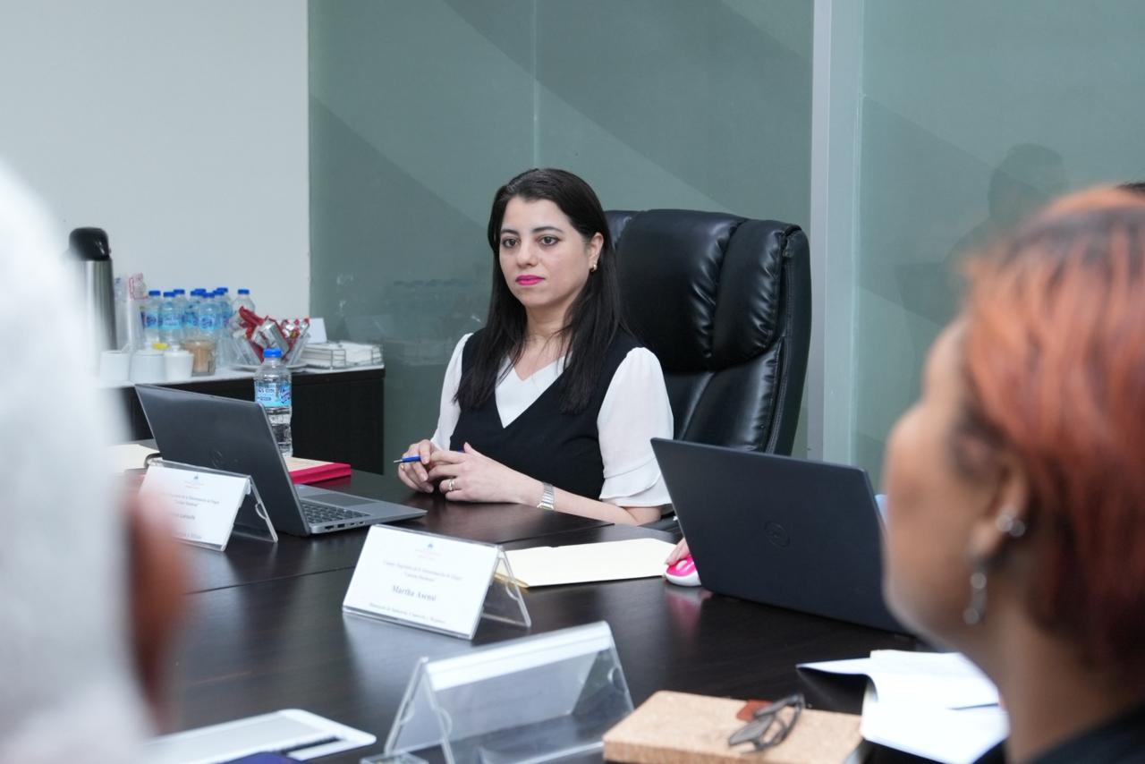 Ministerio de Energía y Minias realiza la primera sesión del nuevo Consejo Regulador de la Denominación de Origen “Larimar Barahona”