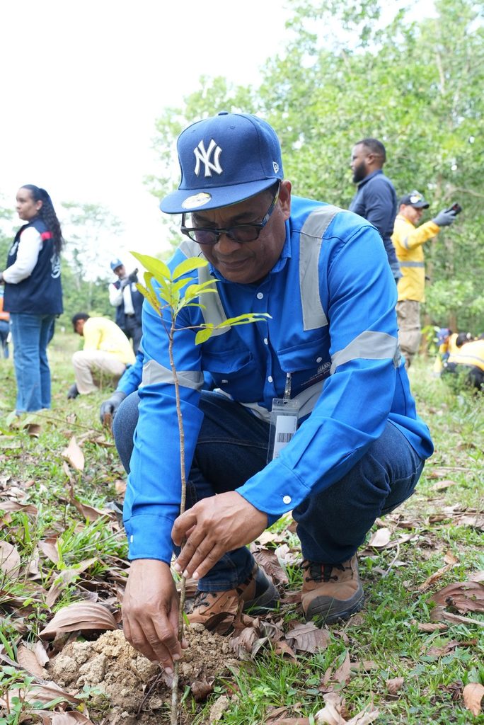 Colaborador del Ministerio de Energía y Minas durante la plantación de un árbol.