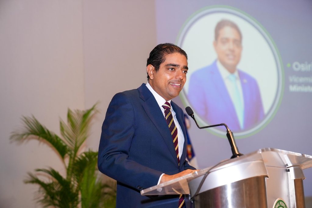 Viceministro de Seguridad Energética e Infraestructura del Ministerio de Energía y Minas (MEM), Osiris Decena