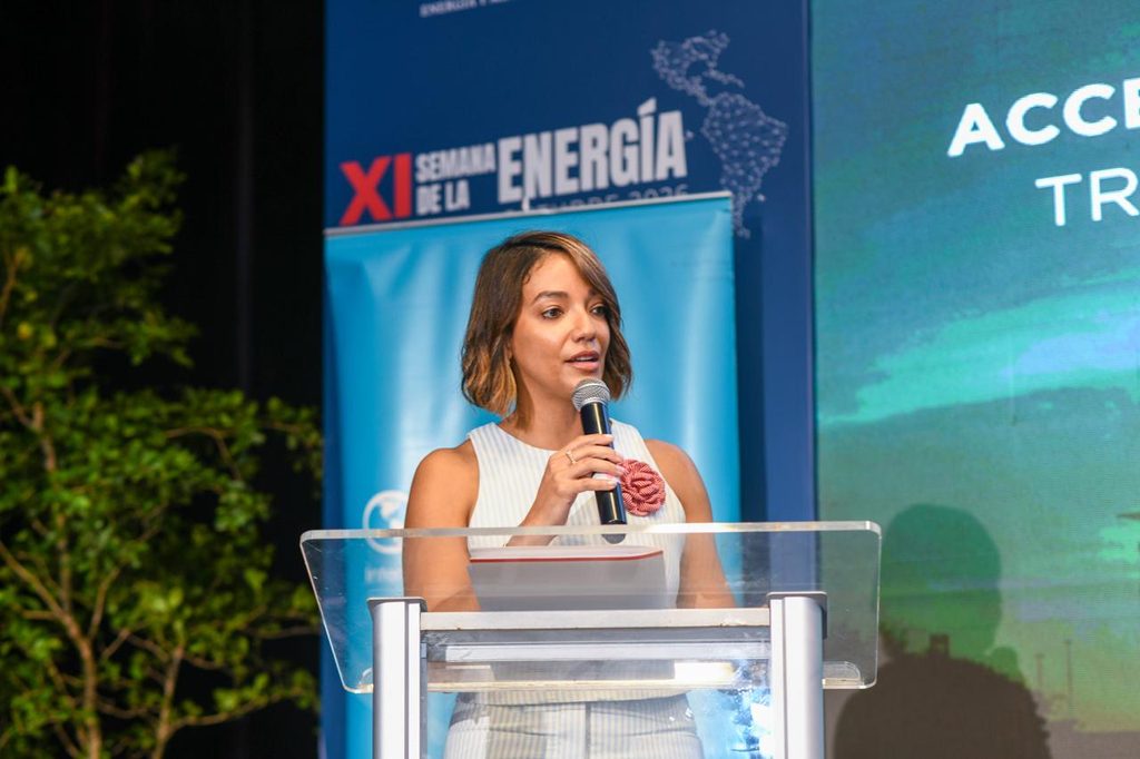 La viceministra de Innovación y Transición Energética, Betty Soto